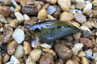 Image 3 of SPEEDBAITS Custom Airbrushed BFS Flatside Wakebait 7678