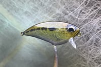 Image 5 of SPEEDBAITS Custom Airbrushed BFS Flatside Wakebait 7678