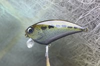 Image 6 of SPEEDBAITS Custom Airbrushed BFS Flatside Wakebait 7678