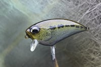 Image 7 of SPEEDBAITS Custom Airbrushed BFS Flatside Wakebait 7678