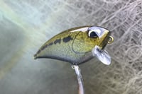 Image 9 of SPEEDBAITS Custom Airbrushed BFS Flatside Wakebait 7678