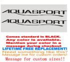 Image 1 of PAIR of 2" X 22" Aquasport Aqua Spor Hull Decals  uv safe. Lifetime warranty 1