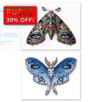 Image 1 of Lepidoptera 14 /15 - 2 print set
