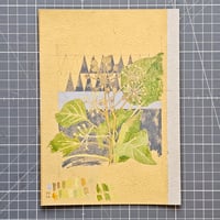 Image 1 of Studio exercise / plant study