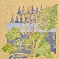 Image 2 of Studio exercise / plant study