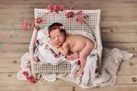 Image 1 of Woven Bench