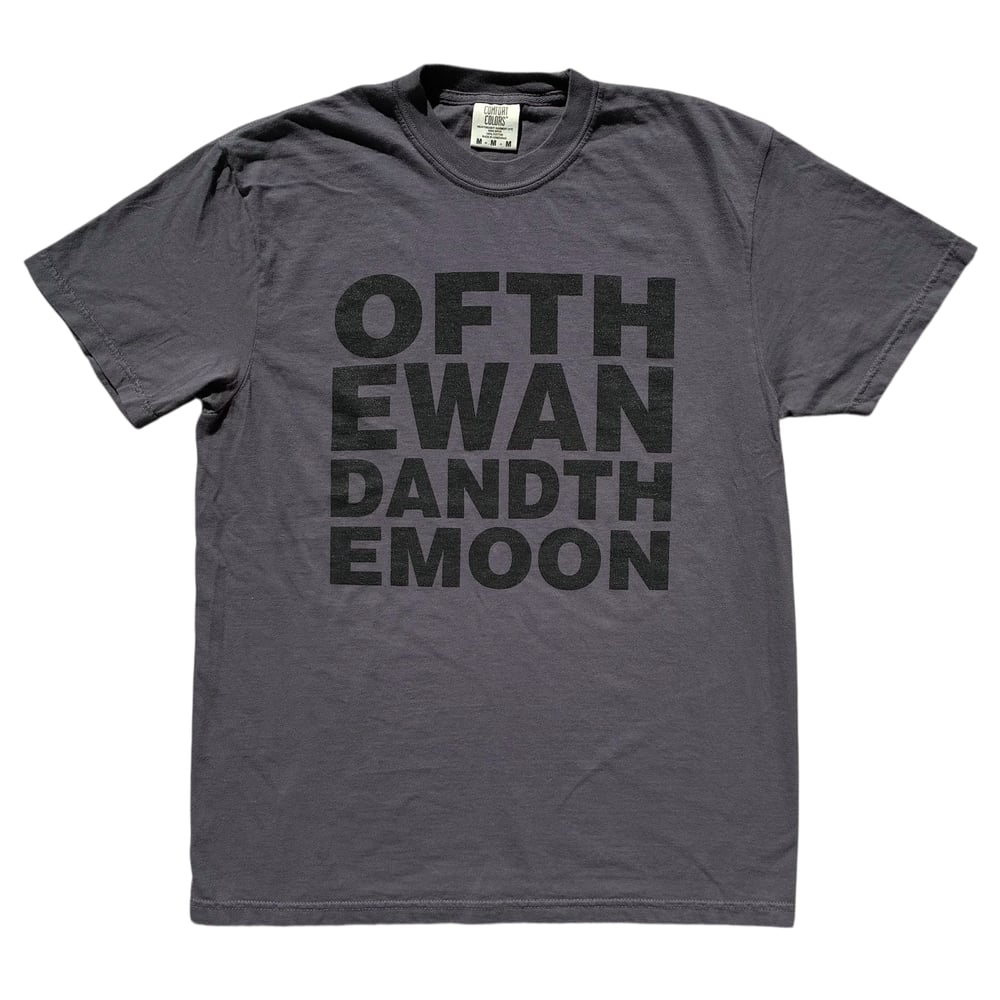 Image of THE LONE DESCENT