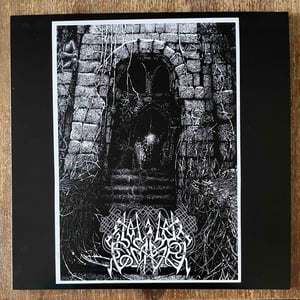 Image of COLLIER D'OMBRE - Autumnal fortress DLP (3 sides) test press