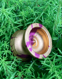 Image 3 of The Anser