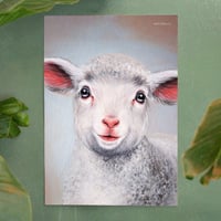 Image 2 of Sheep | Plakat