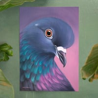 Image 2 of Pigeon love | Plakat