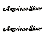 Image 1 of PAIR of 28" American Skier Boat Decals BOAT Hull Decals  uv safe Lifetime warranty  