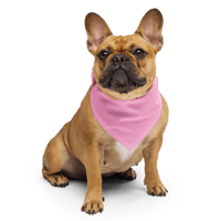 Image 4 of ‘TOUGH LOVER” Pink Wrap Bandanna