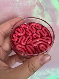 Brain Slice Petri Trinket Dish