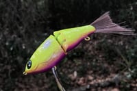 Image 7 of SPEEDBAITS Custom Airbrushed Glidebait 3182
