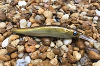 Image 2 of Custom Airbrushed Jerkbait TA 110+ 3287