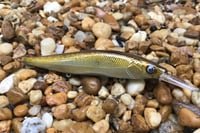 Image 4 of Custom Airbrushed Jerkbait TA 110+ 3287