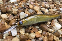 Image 3 of Custom Airbrushed Jerkbait TA 110+ 3287