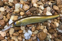 Image 7 of Custom Airbrushed Jerkbait TA 110+ 3287