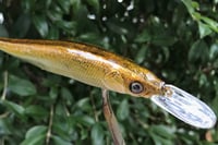 Image 10 of Custom Airbrushed Jerkbait TA 110+ 3287