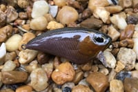 Image 2 of SPEEDBAITS Custom Airbrushed BFS Flatside Wakebait 3314