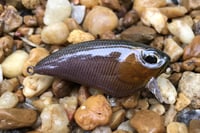 Image 4 of SPEEDBAITS Custom Airbrushed BFS Flatside Wakebait 3314