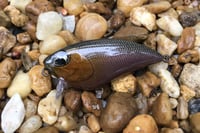 Image 1 of SPEEDBAITS Custom Airbrushed BFS Flatside Wakebait 3314