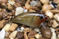 Image 3 of SPEEDBAITS Custom Airbrushed BFS Flatside Wakebait 3350