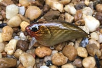 Image 1 of SPEEDBAITS Custom Airbrushed BFS Flatside Wakebait 3350