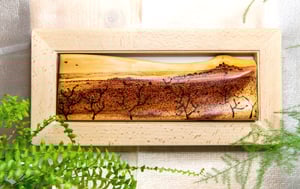 Image of Ermita y sabina.