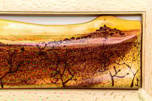 Image of Ermita y sabina.