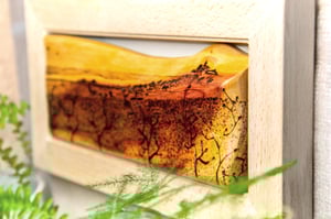 Image of Ermita y sabina.