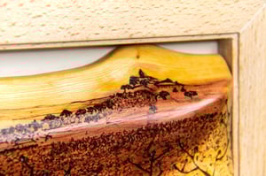 Image of Ermita y sabina.