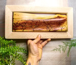 Image of Ermita y sabina.