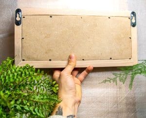 Image of Ermita y sabina.