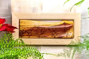 Image of Ermita y sabina.