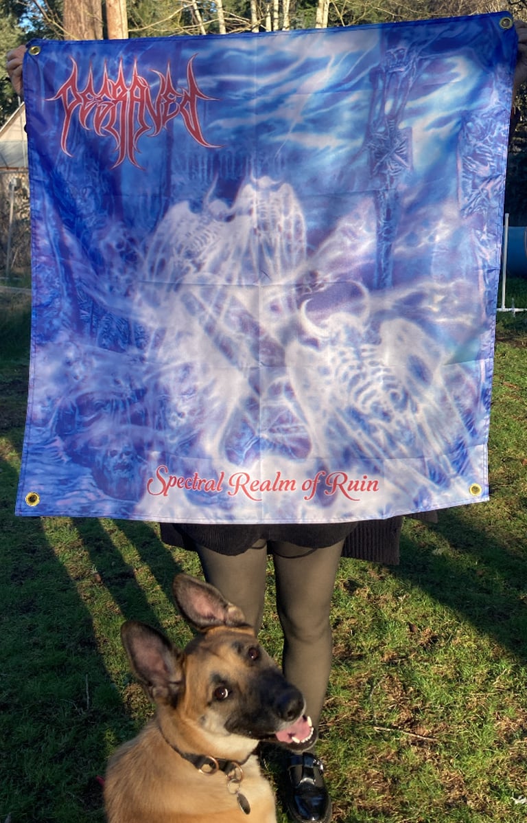 Degraved "Spectral Realm of Ruin" flag Image 2