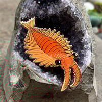 Anomalocaris Enamel Pin