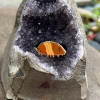 Image 2 of Tiny Enamel Pin - Isopod (Red Panda King)