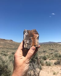 Image 3 of Geological Time in the Black Rock Desert: June 12-14, 2026
