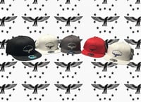 Image 1 of AÇORIAN heritage snapback 