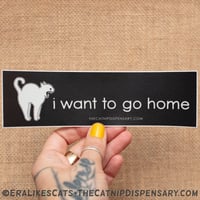 I Want to Go Home Sticker, featuring Anxiety Cat