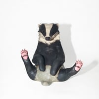 Image 1 of European Badger 