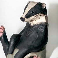 Image 2 of European Badger 