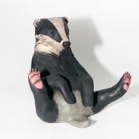 Image 4 of European Badger 