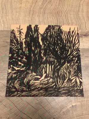 Image of TRN - Sobol / Lepid (2025, 10" lathé, Highland Snakes / Beach Buddies)