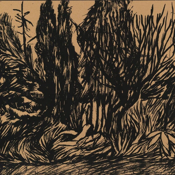 Image of TRN - Sobol / Lepid (2025, 10" lathé, Highland Snakes / Beach Buddies)