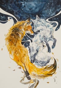 WHEN THE NIGHT COMES