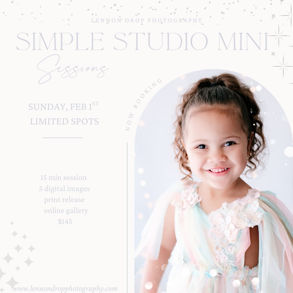 Image of Simple Studio Minis 2/1