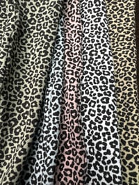 Image 7 of LEOPARDO GONAK